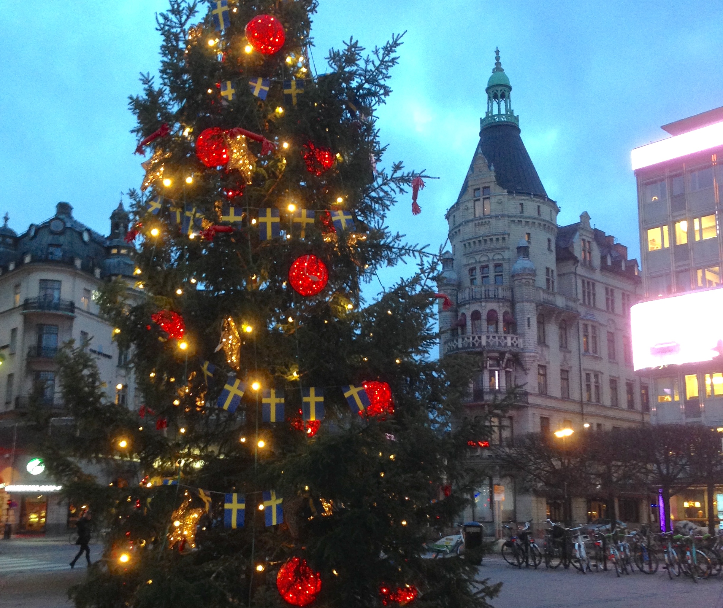 image shows a Christmas tree in Stockholm during the winter